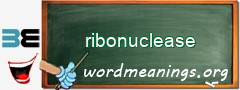 WordMeaning blackboard for ribonuclease